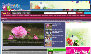 Blog.muctim.com.vn thumbnail