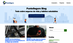 Blog.puntoseguro.com thumbnail