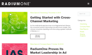 Blog.radiumone.com thumbnail