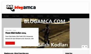Blogamca.com thumbnail