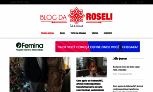 Blogdaroseli.com.br thumbnail