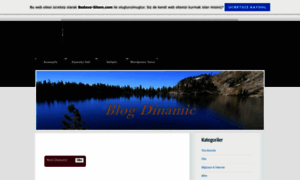 Blogdinamic.tr.gg thumbnail