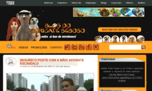 Blogdosuricate.com.br thumbnail