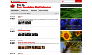 Blogibudowlane.pl thumbnail