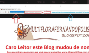 Blogmultiflora.com.br thumbnail