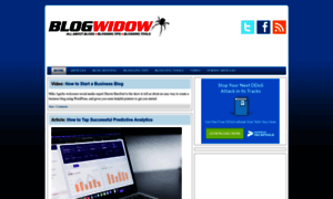 Blogwidow.com thumbnail