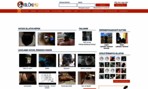 Bloki.hu thumbnail
