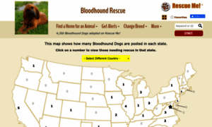 Bloodhound.rescueme.org thumbnail