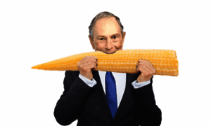 Bloombergeatsbabycornasifitsrealcorn.nyc thumbnail