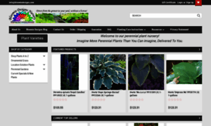 Bloomindesigns.com thumbnail
