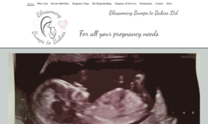 Blossomingbumpstobabies.co.uk thumbnail