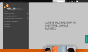 Blsincubator.com thumbnail