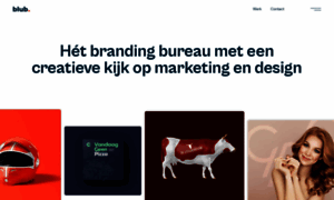 Blubmedia.nl thumbnail