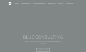 Blue-consulting.fr thumbnail