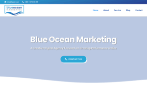 Blue-ocean-marketing.com thumbnail