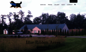 Blue-ribbon-acres.myshopify.com thumbnail