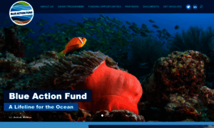 Blueactionfund.org thumbnail