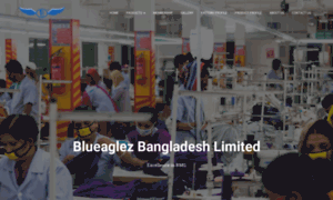 Blueaglezbangladesh.com thumbnail
