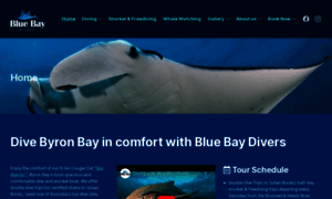 Bluebaydivers.com.au thumbnail