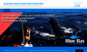 Bluebaywhalewatching.com.au thumbnail