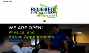 Bluebellphysicaltherapy.com thumbnail