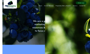 Blueberries.com thumbnail