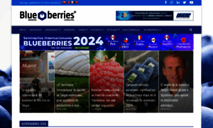 Blueberriesconsulting.com thumbnail