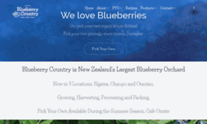 Blueberry.co.nz thumbnail