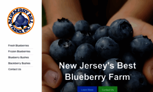 Blueberrybillfarms.com thumbnail