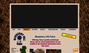 Blueberryhillfarm.ie thumbnail