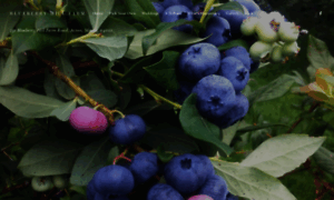 Blueberryhillfarm.us thumbnail