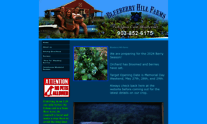 Blueberryhillfarms.com thumbnail