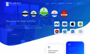 Bluebittechnologies.com thumbnail