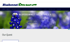 Bluebonnet.seed-balls.com thumbnail