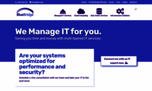 Bluebridgenetworks.com thumbnail