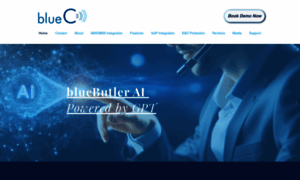 Bluec802.com thumbnail