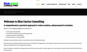 Bluecactusconsulting.com thumbnail