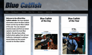 Bluecatfish.net thumbnail
