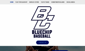 Bluechipbaseball.org thumbnail