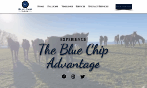 Bluechipfarms.com thumbnail