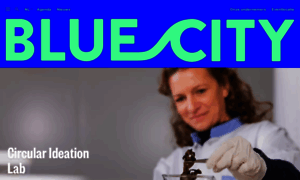 Bluecity.nl thumbnail