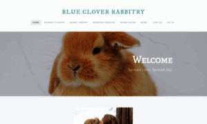 Bluecloverrabbitry.com thumbnail