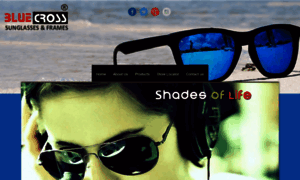 Bluecrosseyewear.com thumbnail