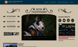 Bluedogrescue.com thumbnail