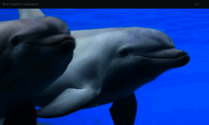 Bluedolphins.com.tr thumbnail