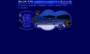 Bluefindiving.com thumbnail