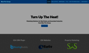 Bluefiregroup.com thumbnail