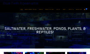 Bluefishaquariums.com thumbnail