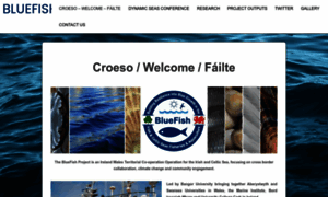 Bluefishproject.com thumbnail