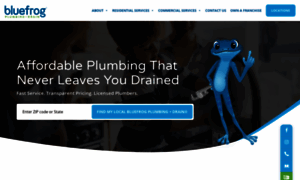 Bluefrogplumbing.com thumbnail